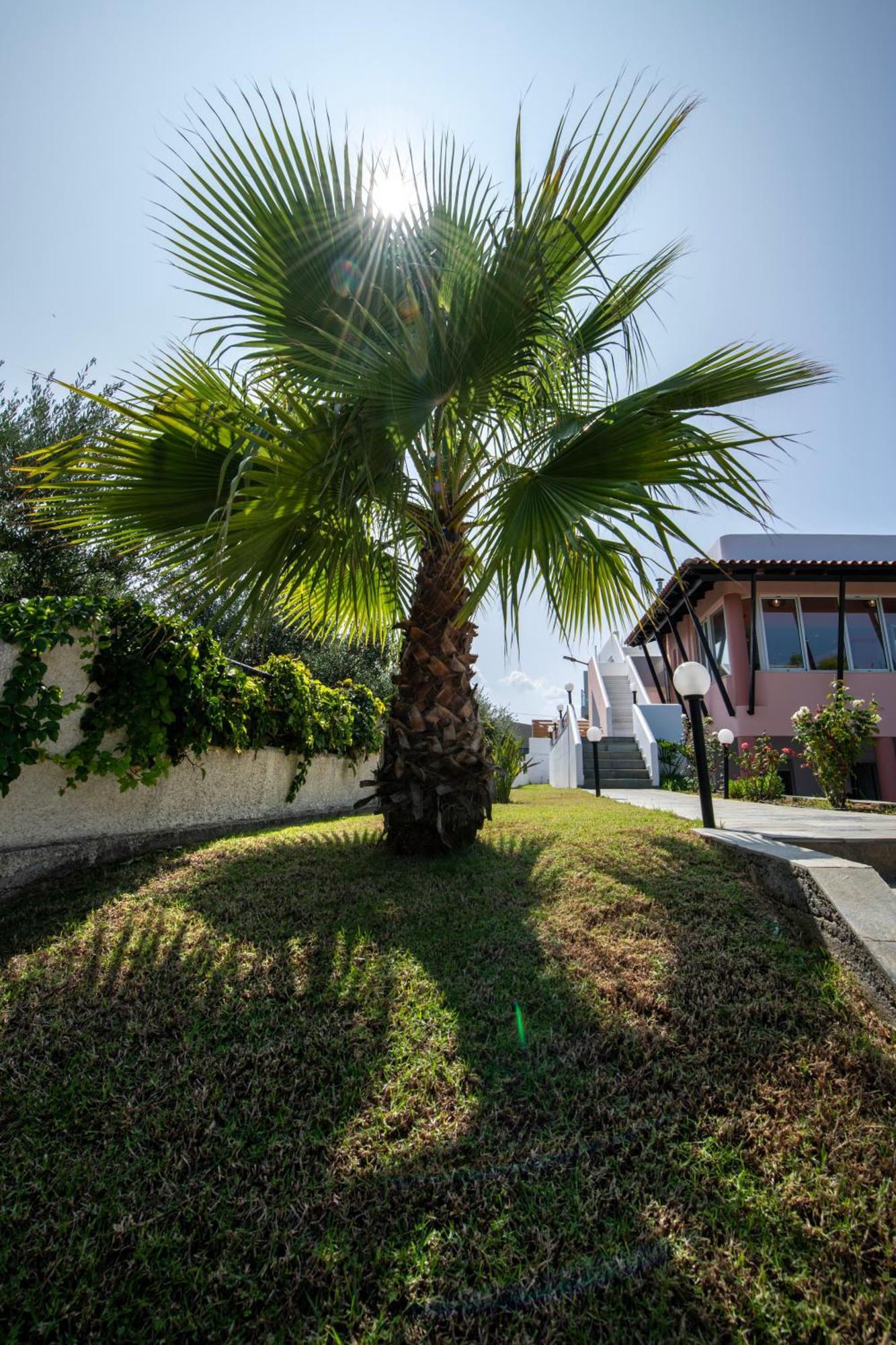 Villa Eleni 100M From The Sea Рапаниана Экстерьер фото